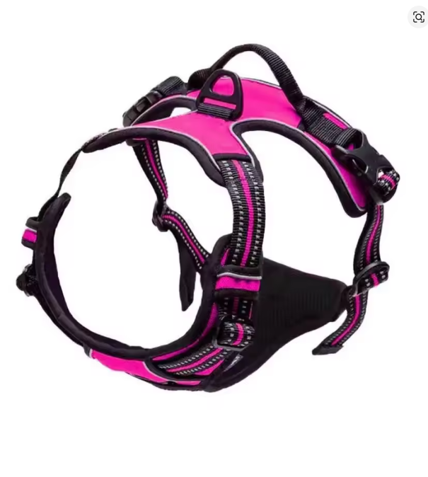 Dog Collars Harness Big Vests Leash Pet Shop Everything for Dogs Leather Puppy Accessories Medium Small Set