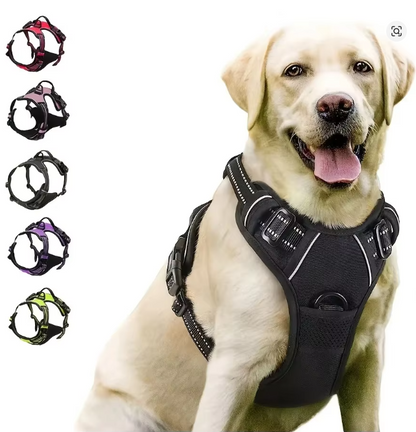 Dog Collars Harness Big Vests Leash Pet Shop Everything for Dogs Leather Puppy Accessories Medium Small Set