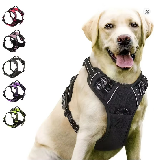 Dog Collars Harness Big Vests Leash Pet Shop Everything for Dogs Leather Puppy Accessories Medium Small Set