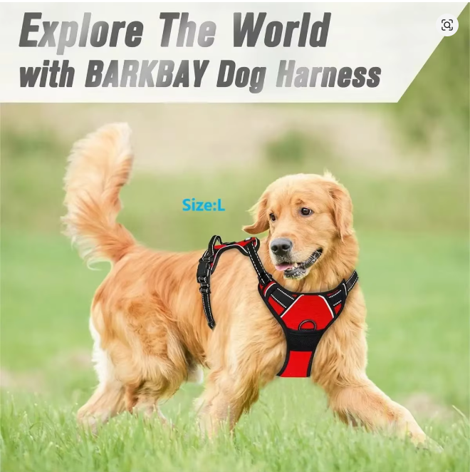 Dog Collars Harness Big Vests Leash Pet Shop Everything for Dogs Leather Puppy Accessories Medium Small Set