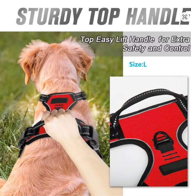 Dog Collars Harness Big Vests Leash Pet Shop Everything for Dogs Leather Puppy Accessories Medium Small Set