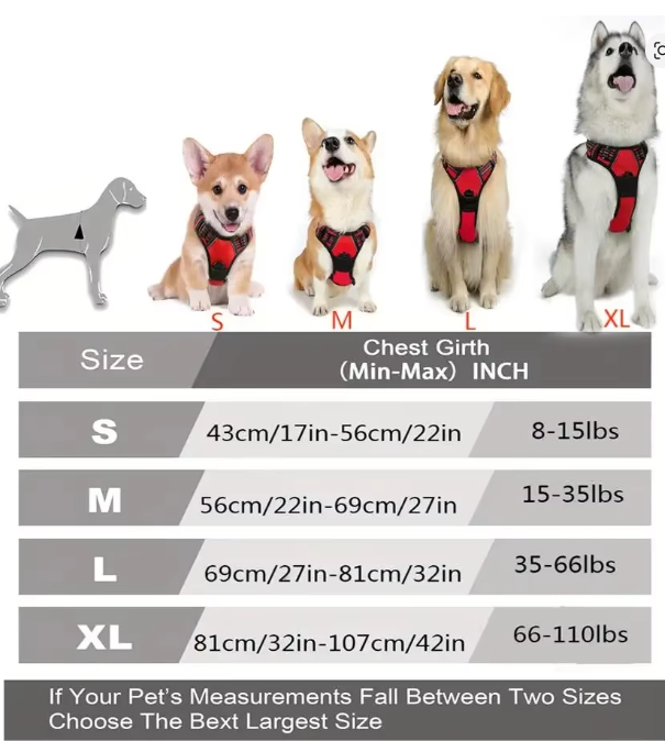 Dog Collars Harness Big Vests Leash Pet Shop Everything for Dogs Leather Puppy Accessories Medium Small Set