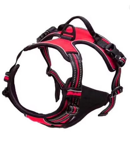 Dog Collars Harness Big Vests Leash Pet Shop Everything for Dogs Leather Puppy Accessories Medium Small Set